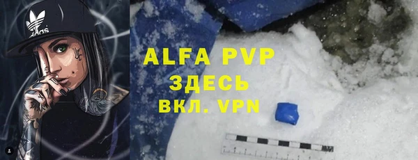 амф Касимов