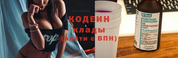 крисы Карпинск