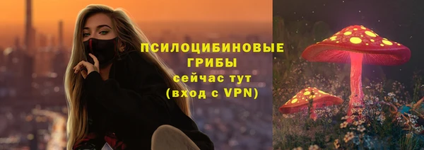 крисы Карпинск