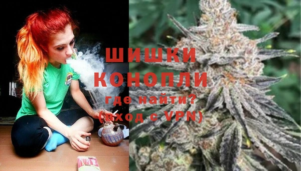 крисы Карпинск