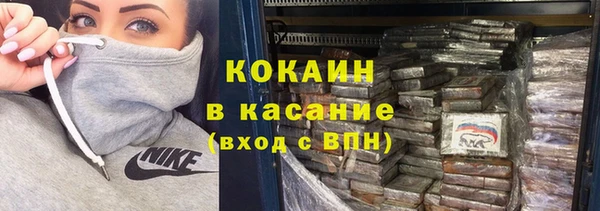 крисы Карпинск