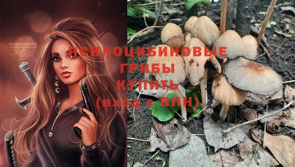 амф Касимов