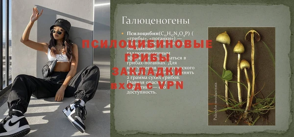 амф Касимов